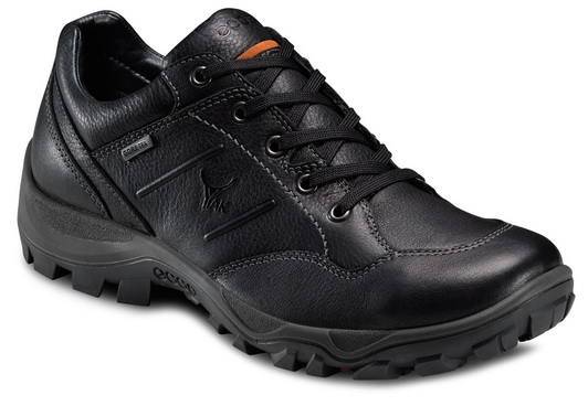 ECCO Men Outdoor XPEDITION II Outlet Online
